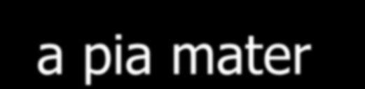 Krvácení do CNS