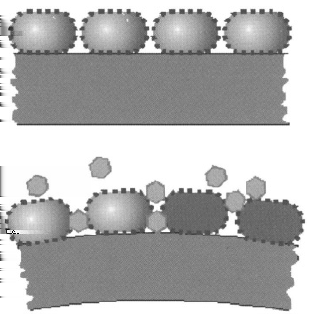 Měření v nanosvětě Nanometrologie Nosníkové metody Vybrané měřicí aplikace Spektroskopie sil a nanoindentace Statické zatížení chemické senzory bez vnějších vlivů ohnutí souvisí s