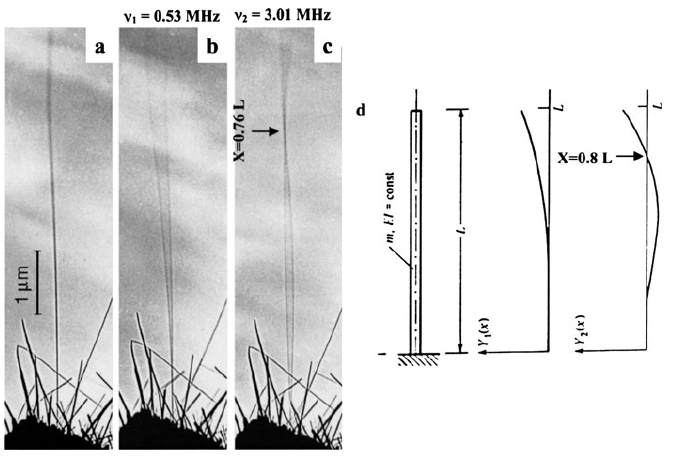 Měření v nanosvětě Nanometrologie Nosníkové metody Vybrané měřicí aplikace Spektroskopie sil a nanoindentace Měření