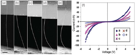 Elektronické nanosystémy Bioinspirace Technologie nanosystémů Nanopiezoelektronika Jednoelektronová zařízení Supravodivá elektronika Další systémy nanogenerátor: ZnO NW na α-al 2 O 3, vodivý AFM