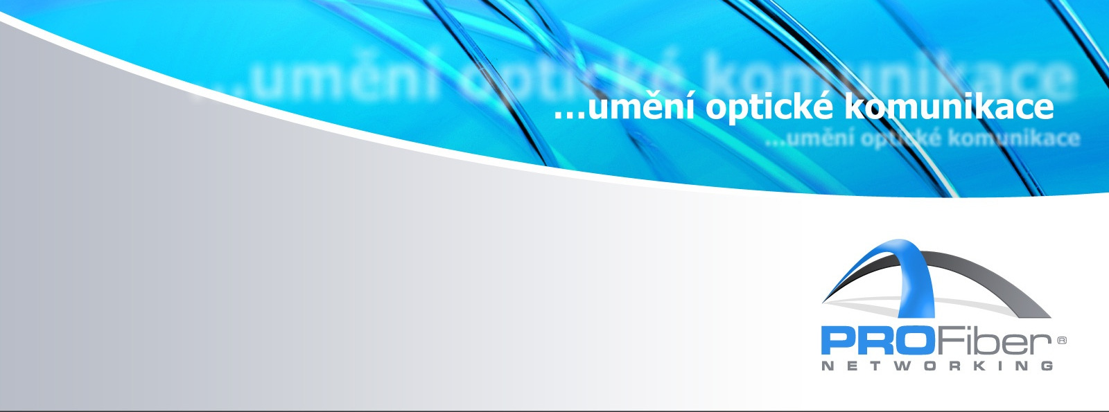 AKADEMIE VLÁKNOVÉ OPTIKY A OPTICKÝCH KOMUNIKACÍ Diagnostika koherentních signálů transportních DWDM systémů WWW.PROFIBER.