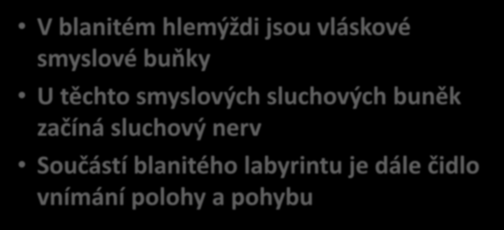 V blanitém hlemýždi jsou vláskové smyslové buňky U těchto smyslových sluchových buněk