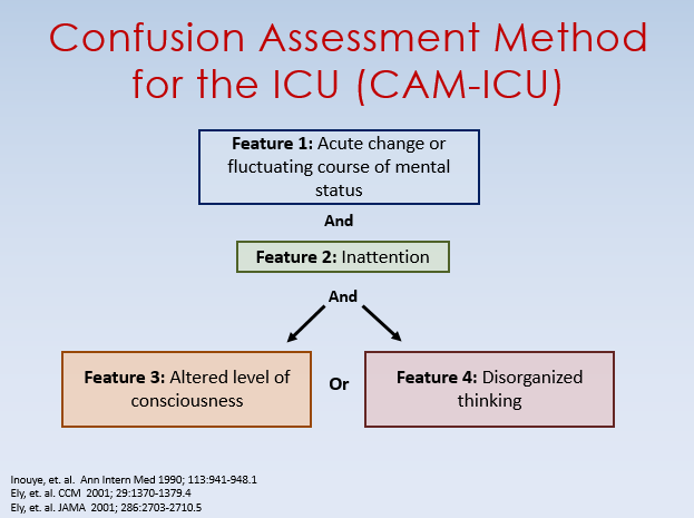 Delirium klinická monitorace CAM ICU nejvalidnější (je-li RASS - 3) 1. Zhodnotit úroveň poruchy vědomí v čase. Vědomí se liší od base line mental statu a/nebo kolísá v průběhu 24 h. NE=není delirium.