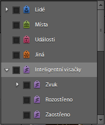 Vybrat tag Kapitola 3: Organizace materiálu 24 Položka Vybrat tag Obr. 3-3 umožňuje přiřazovat médiím visačky jednotlivých kategorií, jako jsou lidé, věci, místa, a poté je opět podle nich filtrovat.