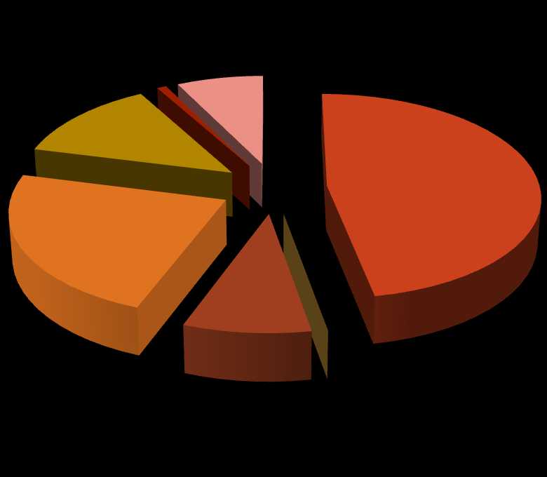 Porovnání časové dotace za obě haly 13/14 - celkem hodin 6106 Koncerty; A tým; 7,35% 0,80% Školy/školky; 12,91% Mládež; 47,15% Amatéři; 23,23% Časové využití celkem Veřejnost; 8,56% ; 0 Mládež Hokej