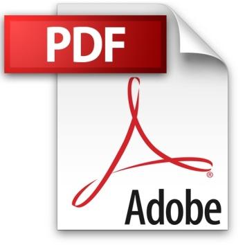 Hlavní standardy a formáty pro e-fakturaci: PDF Definice: Portable Document Format (přenosný formát dokumentů) souborový formát (vyvinutý Adobe) pro ukládání dokumentů nezávisle na HW i SW, na kterém