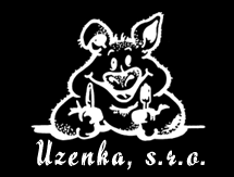 Metodika vyhodnocení: Prvním krokem ke zpracování dotazníků bylo jejich převedení do elektronické podoby.