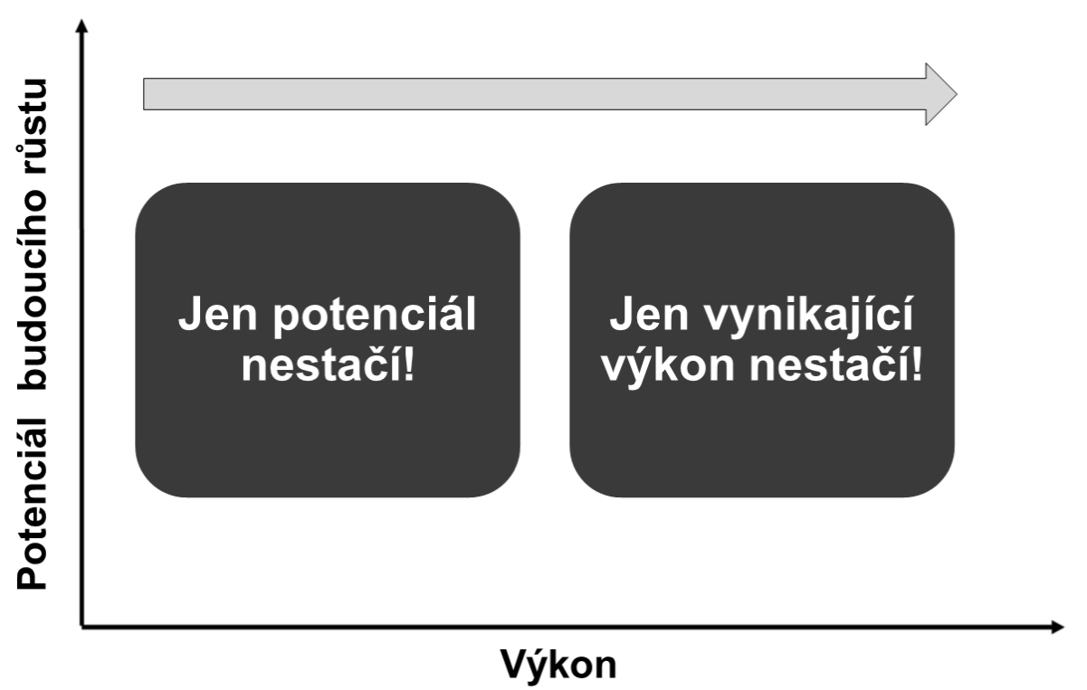 Obr. č. 2: Matice hodnocení výkonu a růstového potenciálu Tato matice je dále rozdělena na devět polí.