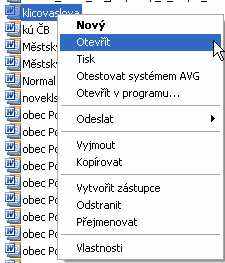 Pokud bude uživatel chtít některý vzor upravit je vhodné postupovat následovně: a) kliknout levým tlačítkem na vybraný vzor, tak aby zůstal podsvícený b) poté kliknout pravým tlačítkem a vybrat volbu