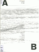 A Work in Progress: René Redzepi Journal, Kolektiv autorů Nakladatelství: Rok vydání: 2013 ostatní Počet stran: 216 978-0-7148-6698-7 Inventární číslo: O-2013 A World without Words, Morrison Jasper