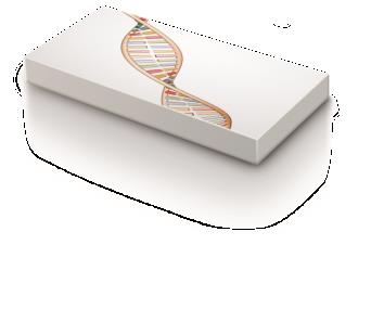 2. krok: Genetický test: První krok k Vašemu