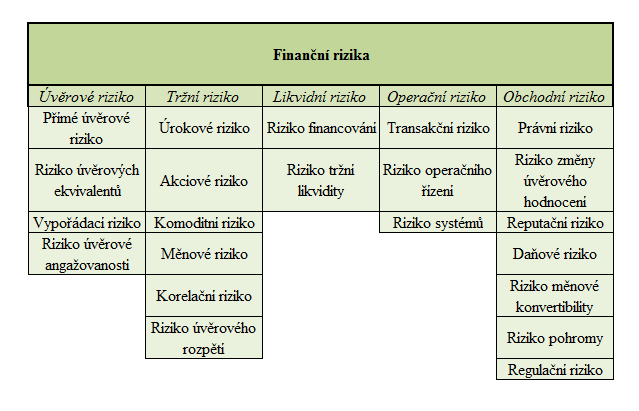 o měnové rzko lkvdní rzko o rzko fnancování o rzko trţní lkvdty operační rzko (rzko ztráty způsobené ldským faktorem) o transakční rzko o rzko operačního řízení o rzko systémů obchodní rzko o právní