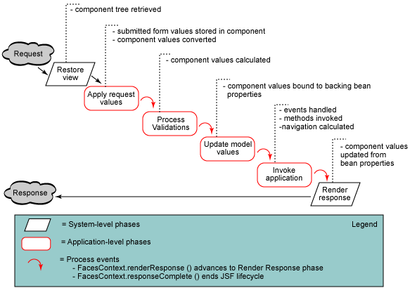 Lifecycle