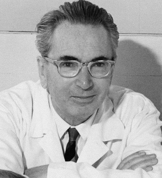 Logoterapie Viktor E. Frankl (1905-1997), odk.10.