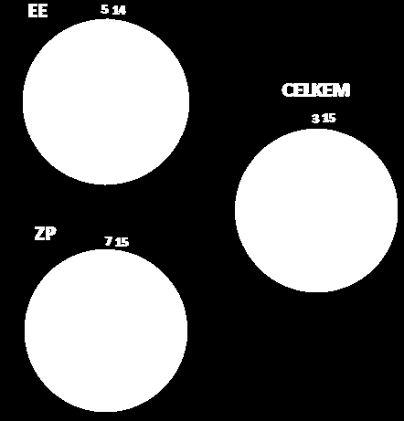 VYHODNOCENÍ VÝSLEDKŮ DLE DOMÁCNOSTÍ 8.1.