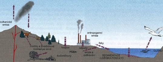 Do přirozeného oběhu fosforu zasahuje člověk poměrně významným způsobem a to především těžbou fosfátových hornin.