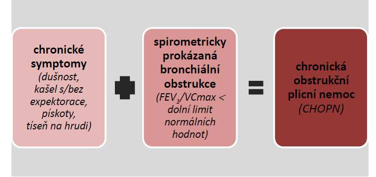 Postup aktualizace ČPFS standardu NOVÉ: DIAGNOSTIKA CHOPN Identifikace potřeby aktualizace české návodu Vytvoření pracovní verze Prezentace Výboru ČPFS Prezentace členům ČPFS Prezentace na MSD,