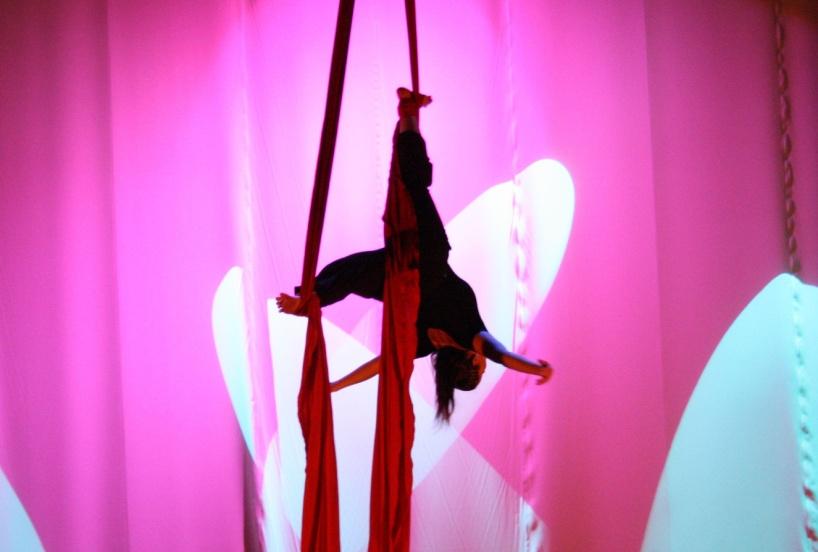 Vystoupení závěsné akrobacie na šálách Letecká akrobacie, kde se mísí síla, plynulost, poetičnost a nebezpečí.