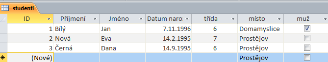 V návrhovém zobrazení navrhujeme jednotlivé sloupce tabulky a datové typy.