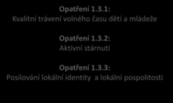 6. Priority a opatření - Společnost Priorita 1.3: Chuť poznávat a bavit se - podpora volnočasových a vzdělávacích aktivit pro veřejnost Opatření 1.