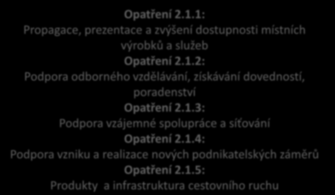 6. Priority a opatření - Hospodářství Priorita 2.1: Rozvoj živnostenského a drobného podnikání Opatření 2.1.1: Propagace, prezentace a zvýšení dostupnosti místních výrobků a služeb Opatření 2.1.2: Podpora odborného vzdělávání, získávání dovedností, poradenství Opatření 2.