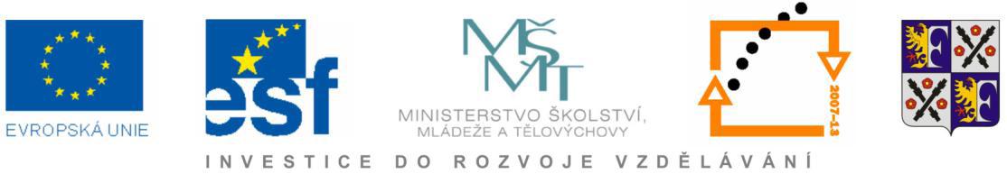 12. Údaje o zapojení školy do dalšího vzdělávání v rámci celoţivotního učení V rámci stanoveného plánu DVPP organizace podporovala zapojení svých zaměstnanců v rámci celoţivotního učení.
