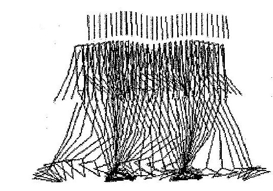 Obrázek 4.