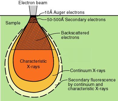 Skanovací elektronová mikroskopie (SEM) Interakce elektronového