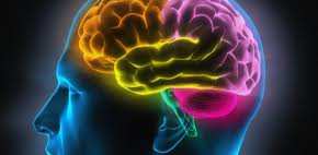 hlavy a mozku Onemocnění páteře a míchy