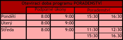 V rámci programu se mohou učit práci s PC, nacvičovat telefonní hovor, porozumět obsahu úředních žádostí a formulářů, či