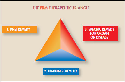 Terapeutický trojuhelník Klinicko-terapeutický model FRM je lineární.