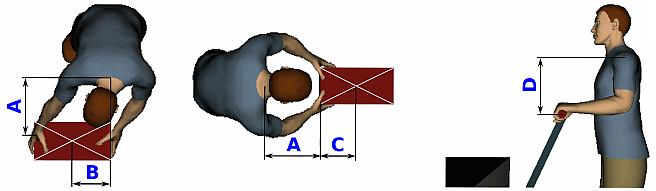 Pracovní programový modul výpočet komprese L4/L5 Vstupní parametry zohledněné pro stanovení komprese L4/L5: Strana: 13 antropometrické parametry tělesná výška, tělesná hmotnost poloha trupu flexe,