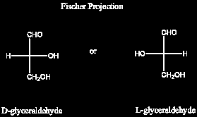 teoreticky je možné syntetizovat ohromné množství různých oligopeptidů.