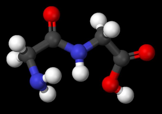 Chemické vlastnosti Reakce aminokyselin Tvorba peptidové vazby (amidové)