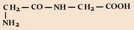 aminokyseliny s α-aminovou skupinou druhé za odštěpení molekuly vody + + + +