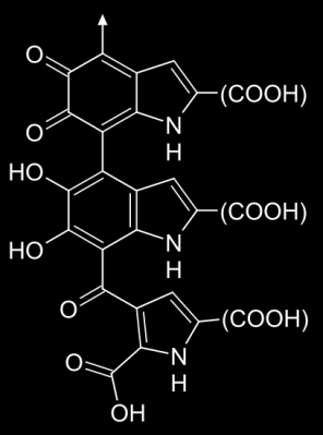 Fenylalanin Phe 2-amino-3-fenylpropanová F 7 α-amino-β-fenylpropionová zdroje - kuřecí, krůtí, ryby, mléko,
