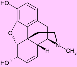 Tyrosin Tyr Y 2-amino-3-(4-hydroxy-fenyl)- propanová 8 α-amino-β-(p-hydroxyfenyl)- propionová morfin nutriční doplněk stravy pro intenzivní svalový výkon zejména u sportovců neurotransmitery: v dřeni