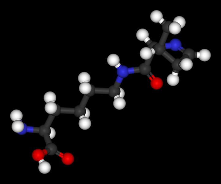Pyrolysin Pyl O (2S)-2-Amino-6-{[(2R,3R)-3-methyl- 3,4-dihydro-2H-pyrrol- 22 2-carbonyl] amino}hexanová začleňování