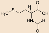 N-formylmethionin fmet E 2-formylamino-4-methylsulfanylbutanová 23 Obr.13 Obr.
