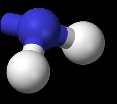 termínem rozumějí pouze α-aminokyseliny obě skupiny navázány na stejném atomu uhlíku C v