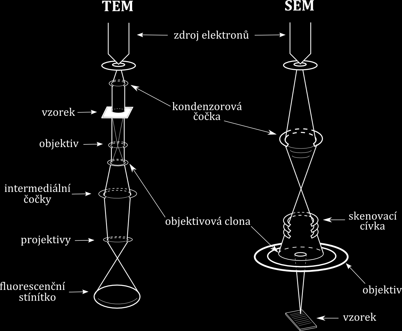 Obrázek 2 Schéma transmisního a skenovacího elektronového mikroskopu 2. CÍL PRÁCE 1.