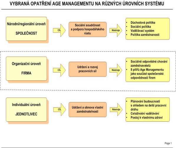 oslovení budoucích pracovníků Nastavení mezigenerační spolupráce Přidělené mentorů (zaučení od starších zkušenějších kolegů) Zabezpečení přenosu tacitních (skrytých) znalostí Využívání dovedností