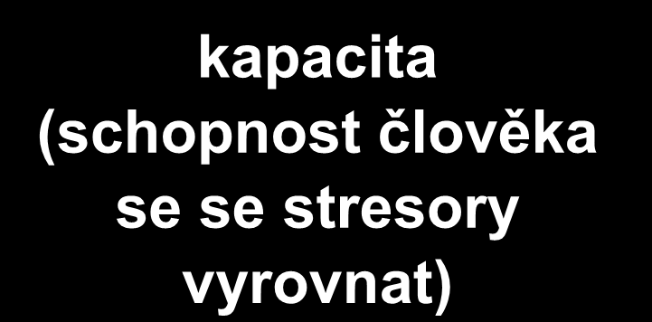 Distresová situace zátěž (působení stresorů) kapacita