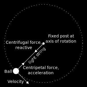 YEAR: WORKSHEET NO. 13 SUBJECT: 1. Centripetal and Centrifugal Physics Force 13.