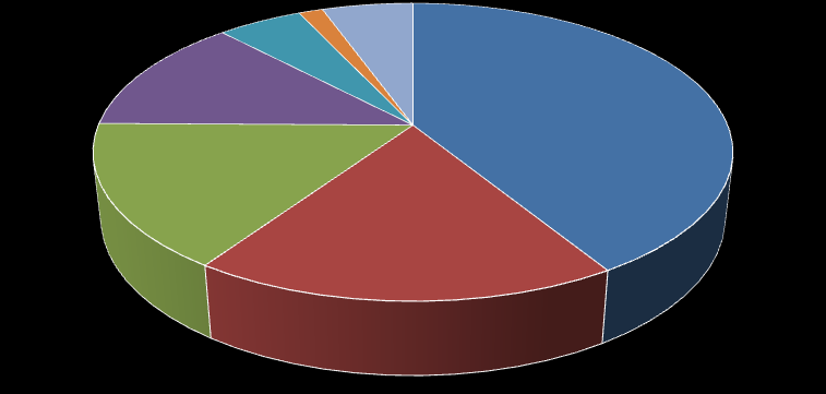 Průzkum překladatelského trhu 5 překladatelů (13 %). V Asociaci konferenčních tlumočníků bylo organizováno 5 % respondentů.