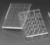Plating cells on diamond medium for cell plating and growth McCoy s 5A medium + fetal bovine serum (FBS) McCoy s 5A: inorganic salts, aminoacids, vitamins,