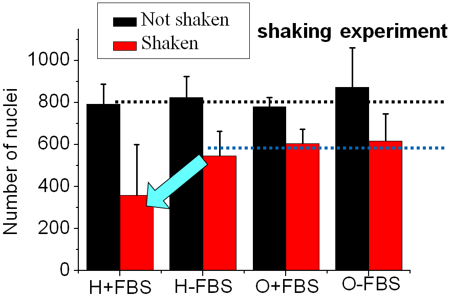 Proteins on diamond driving cell selectivity the cell selectivity is driven by different conformation of proteins on H/O-diamond in the cell medium recall: not by a direct effect of H/O dipoles on