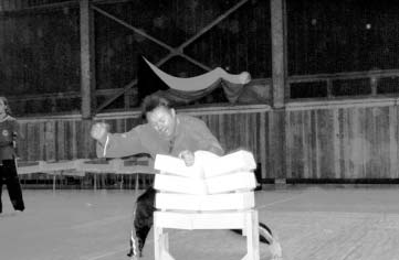 SPEKTRUM ROŽNOVSKA 23 /2001 TÉMA STRANA 3 Vydařený sportovní den Sobota 3. listopadu 2001 patřila relativně mladému sportovnímu odvětví - trampolínám.