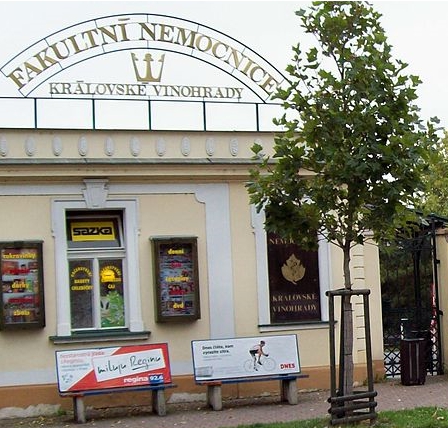 Zdena Krejčíková z Prahy byla přijata do kruhu nositelek Řádu stříbrného trojlístku. INFORMAČNÍ ZDROJE Nový web SO a jeho odkaz vyzkoušejte!