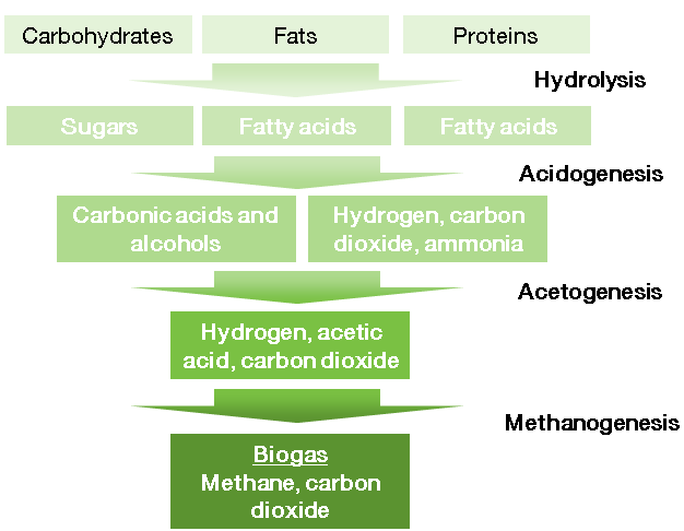 Princip technologie biodegradace organických látek - hydrolýza -